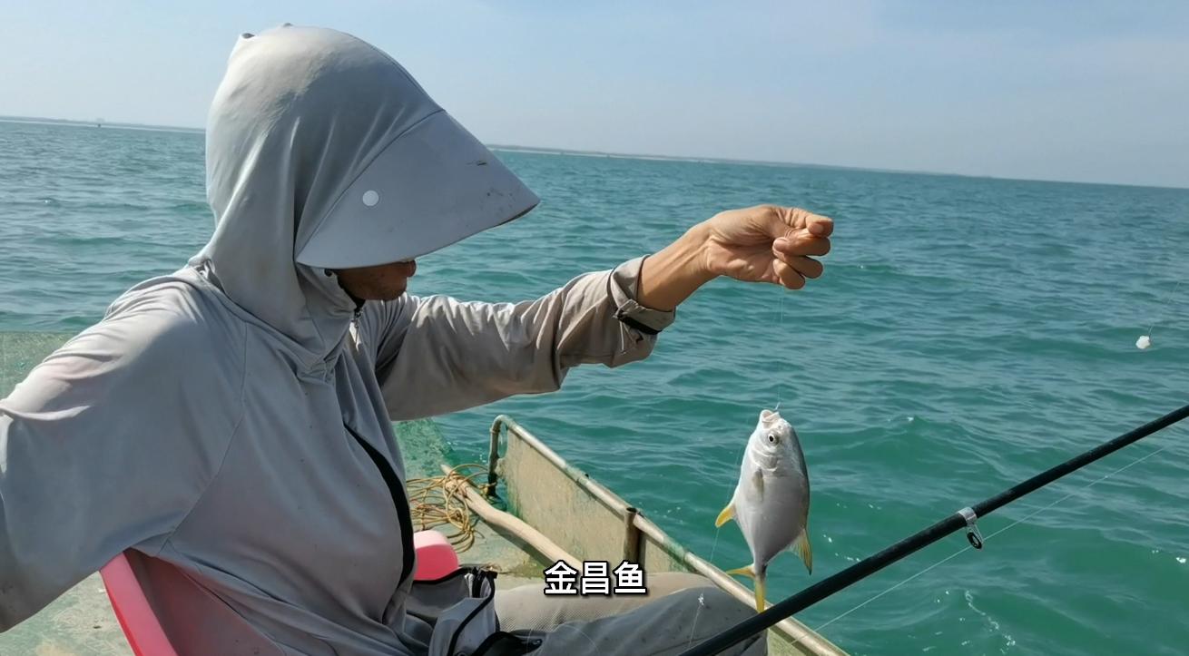 阿智为钓到爱吃的金鲳鱼，凌晨跑出外海，渔获晒满房前屋后