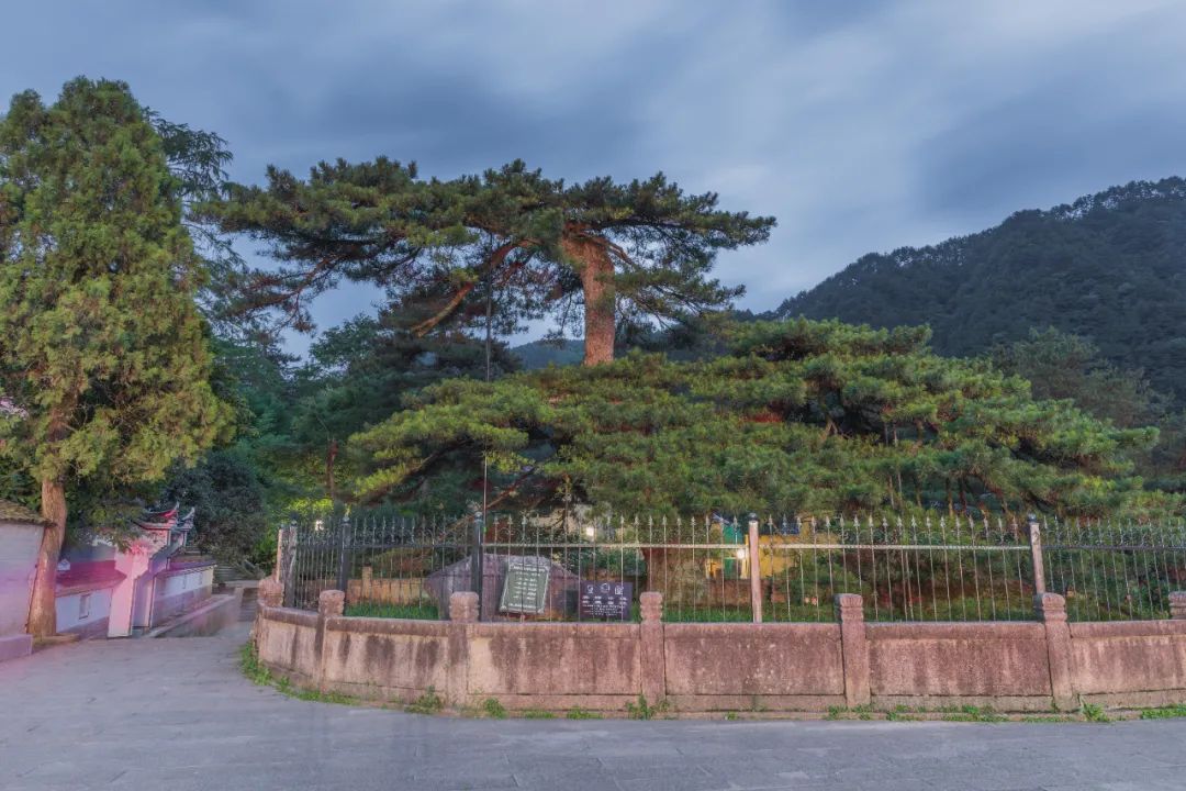 我国四大名山九华山,四大佛教名山哪个风景最美