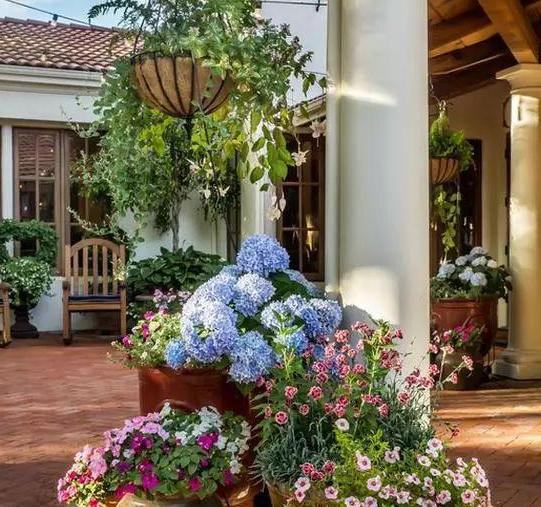 夏季花草烂根怎么办,盆栽被太阳晒枯萎了怎么办