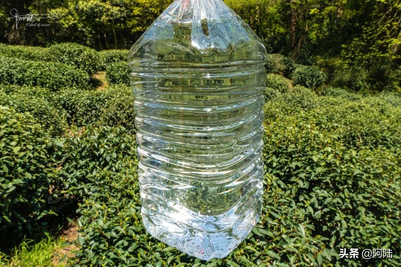 杭州虎跑泉水,杭州虎跑泉旅游攻略