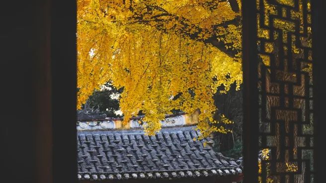 秋季落叶绝美诗句带赏析,有关秋天黄叶的诗句古诗词