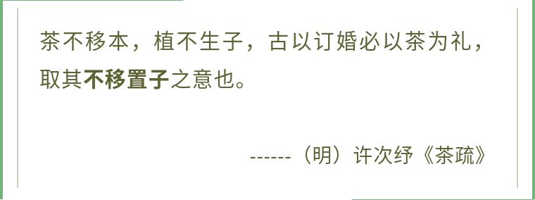 givemethetea,givemethetea怎么读