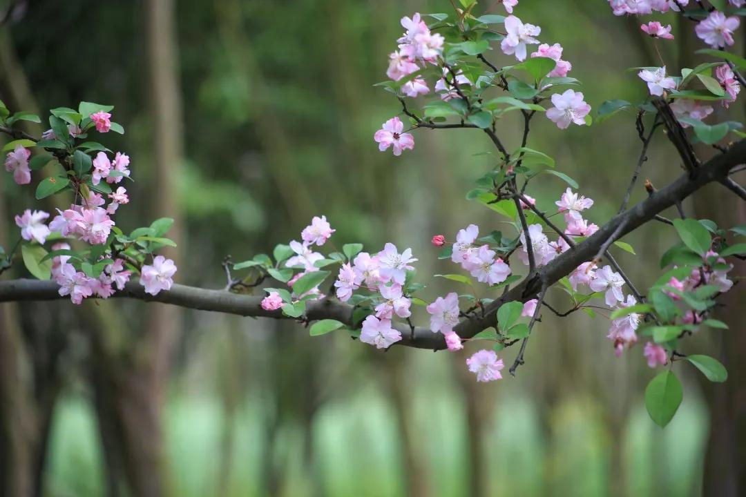 《道德经》：四种处世大智慧，读后受益