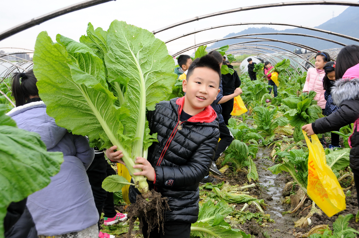 快来了解一下这节课程的独特之处,本校特色课程发展之路是什么