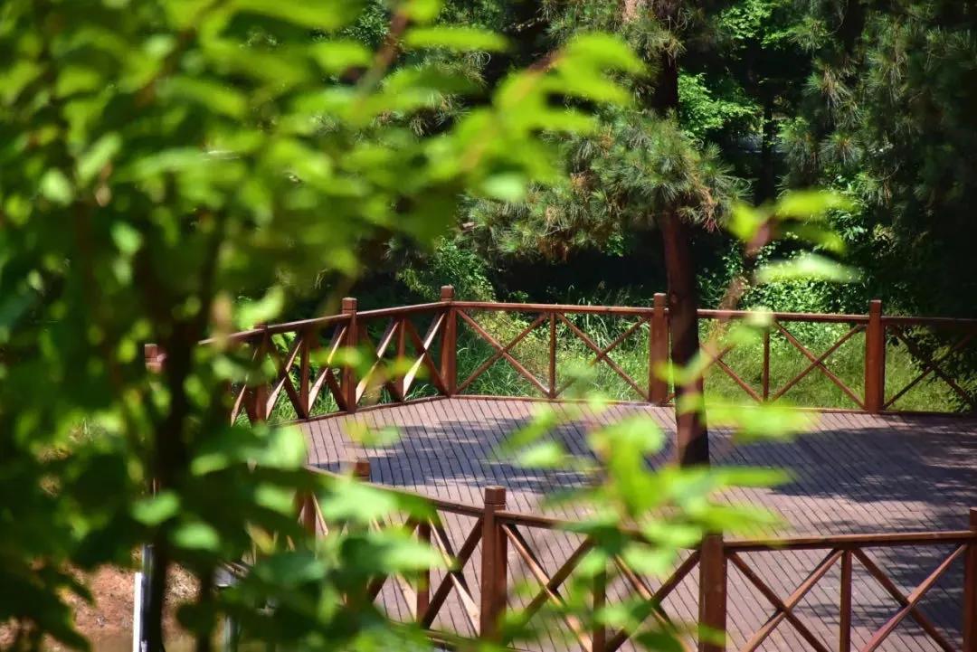 闲坐凉亭、徒步森林、畅快橡皮艇，快来苍溪纳凉避暑~