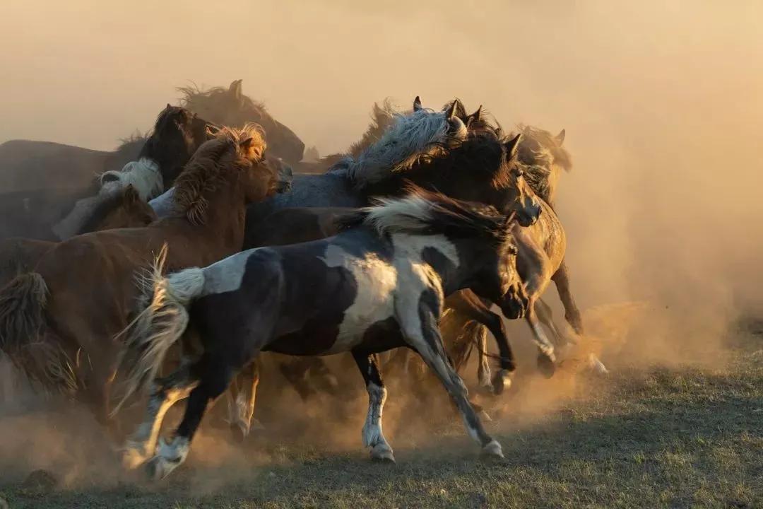 中庸的五个层次在学习中如何运用,中庸提出的5种学习方法