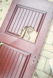 把车标全部抠掉违法吗,把车标抠下来清灰