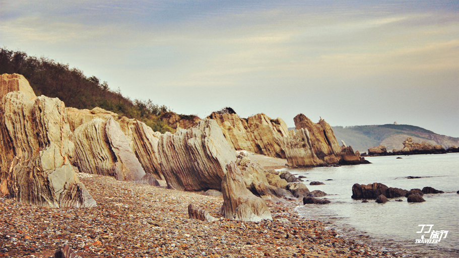 大连的蚂蚁岛简介,大连蚂蚁岛海域
