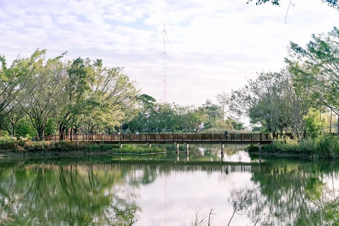深圳地铁7号线有什么好玩的,深圳地铁十四号线游玩攻略