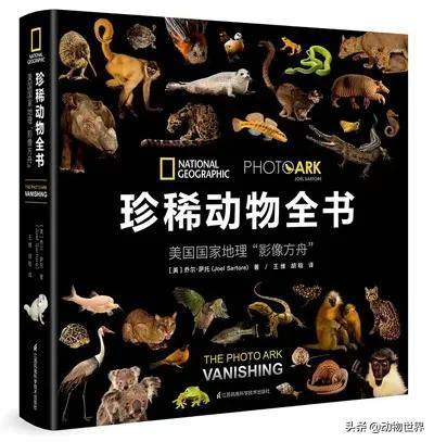 十大濒危动物国际珍惜动物保护日,世界珍稀保护动物保护日