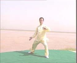 练拳只练一招,练拳不练功到老一场空