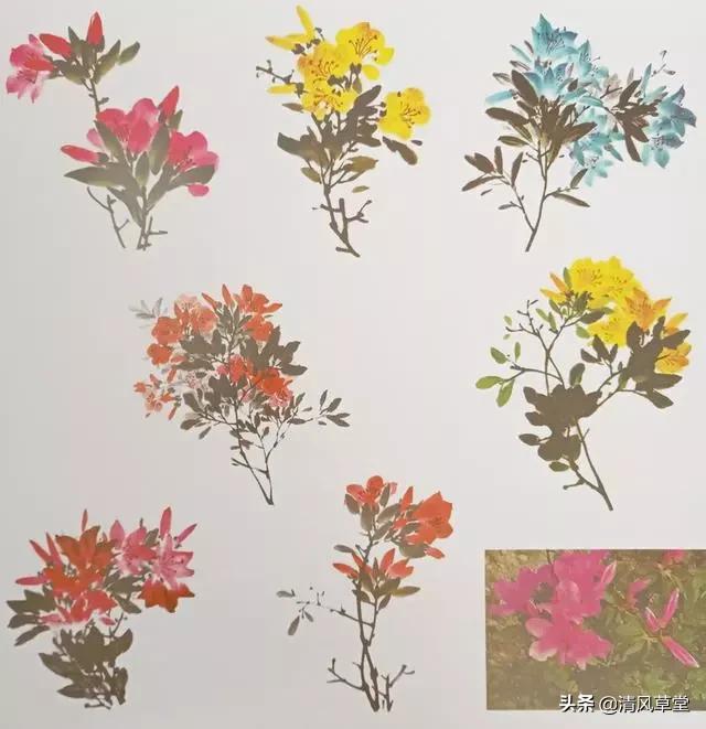 少儿国画花卉画法视频,各种花卉的100种画法
