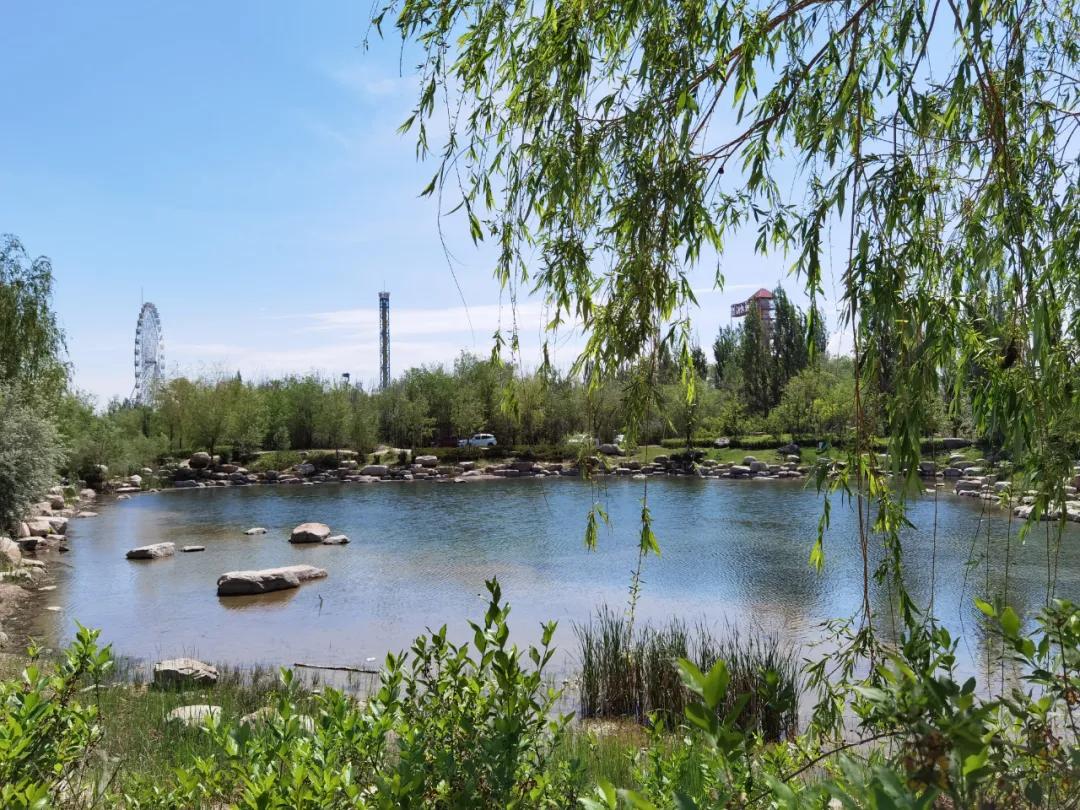 中国最适合慢生活的小城伊宁市,闲适安逸,住下就不想走了