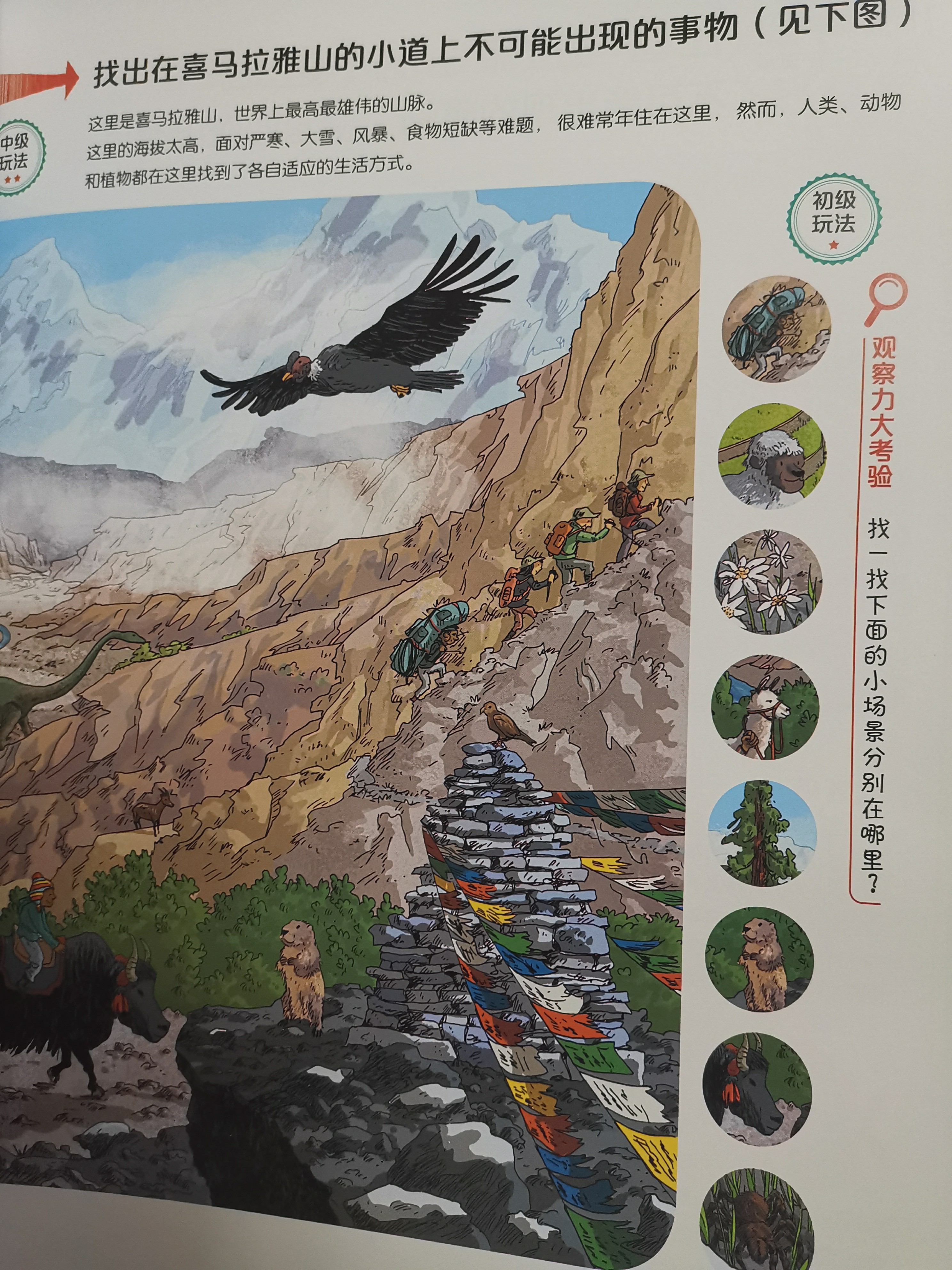 为什么1年级小孩都写不好字,一年级娃字写不好怎么办