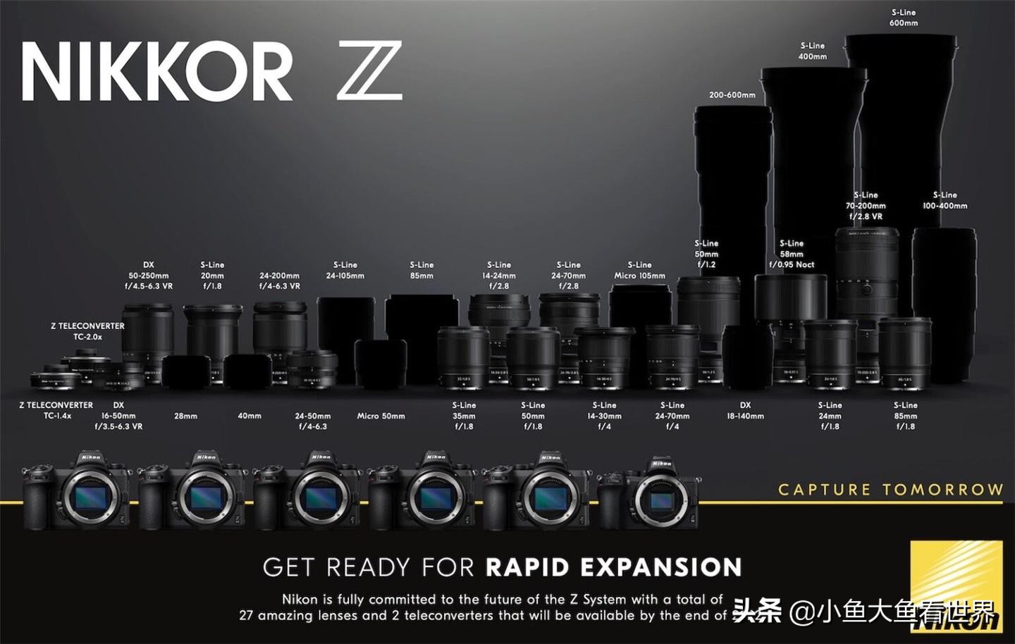 佳能尼康索尼600mm镜头对比 (相机入门级的索尼尼康佳能哪个好)