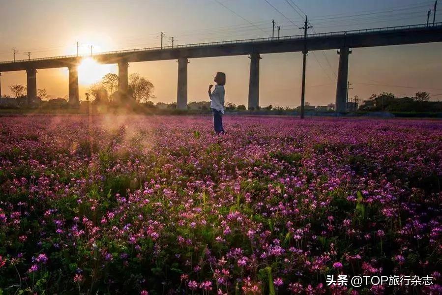 长沙隐藏的小岛,其实长沙还藏着很多小众景点