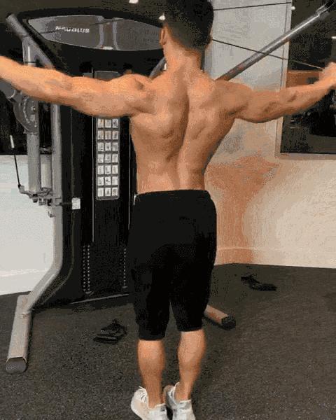 人鱼线和鲨鱼线是什么,人鱼线跟鲨鱼线的差别