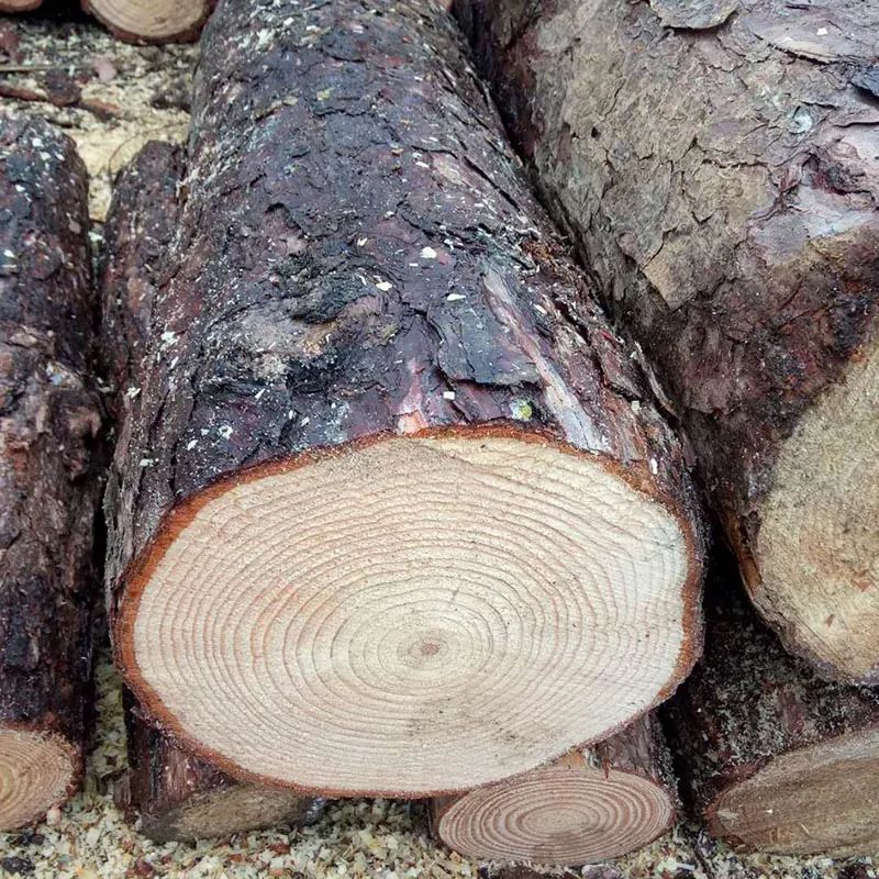 各种家具木材排行,十大家具木材排行榜