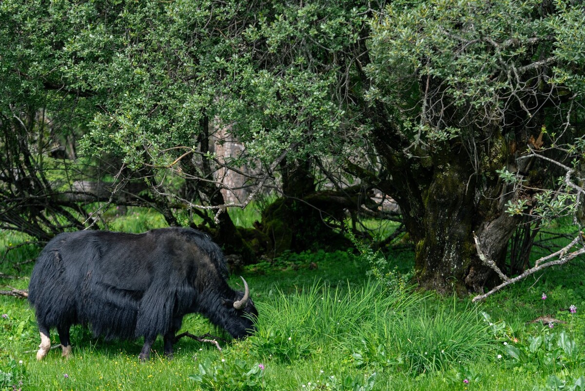 小众唯美大自然旅行地,适合大自然旅行的景点