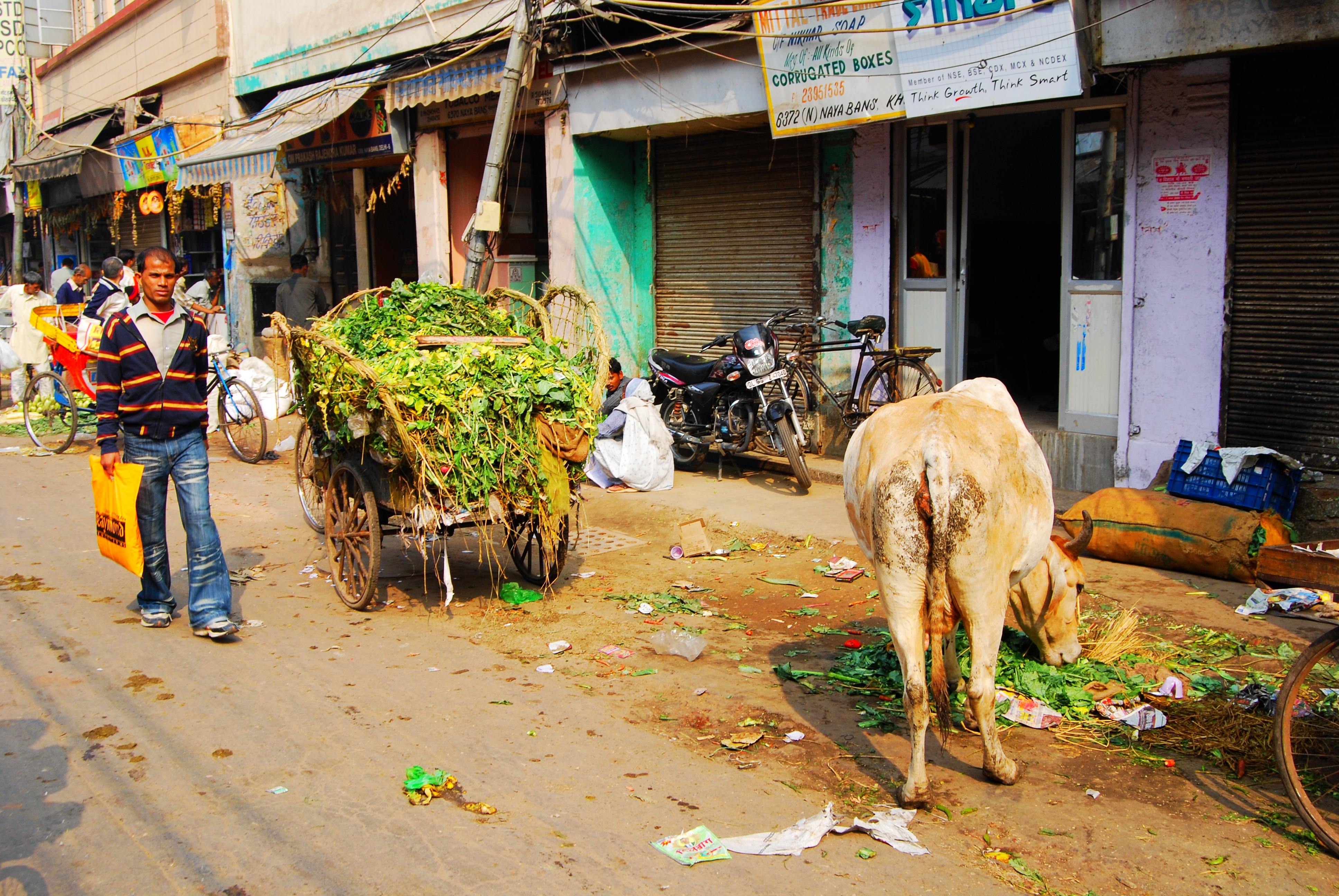 你以为的印度与现实中的印度,印度盲目自信的背后