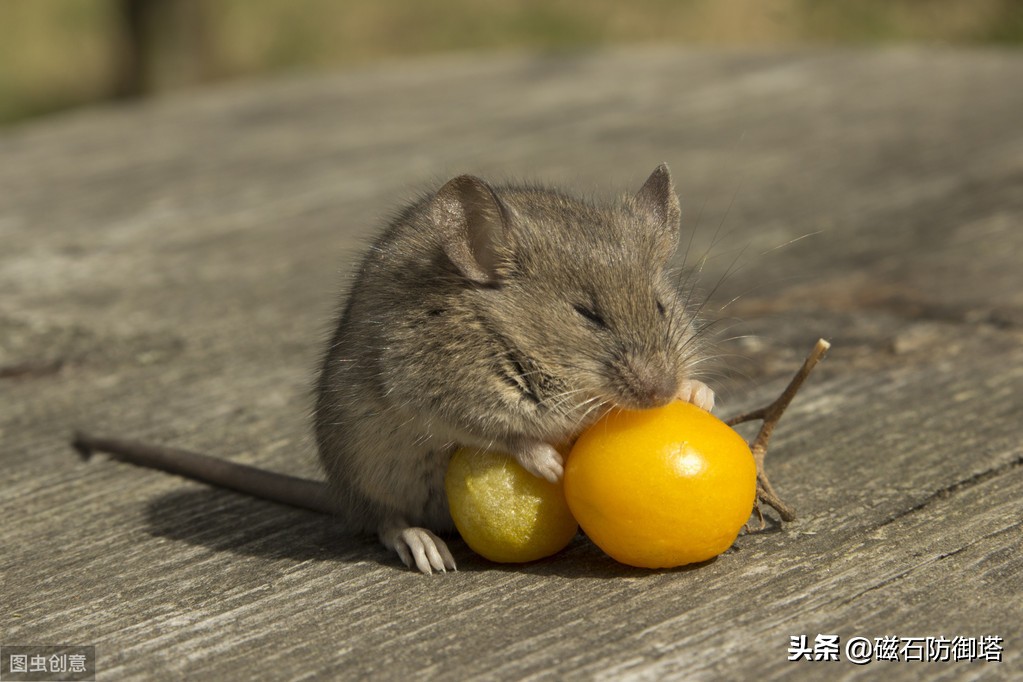 蜀道难讲解视频,蜀道难视频