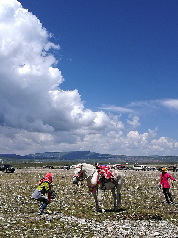八千里路云和月风景,自驾看世界八千里路云和月滇之旅