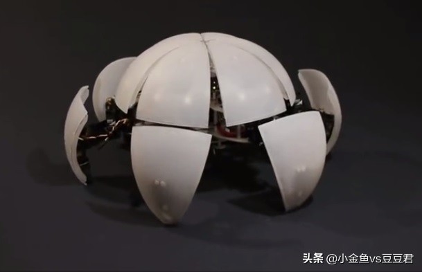 能翻滚的机器人,能爬能滚的机器人