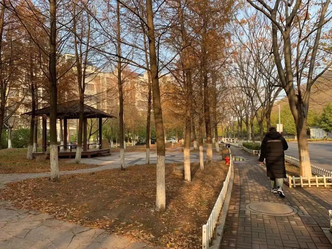 仙林中心房价稳中有升,仙林为什么房价贵