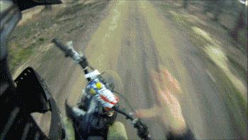 这部闷骚片,专门给“蠢货”颁奖