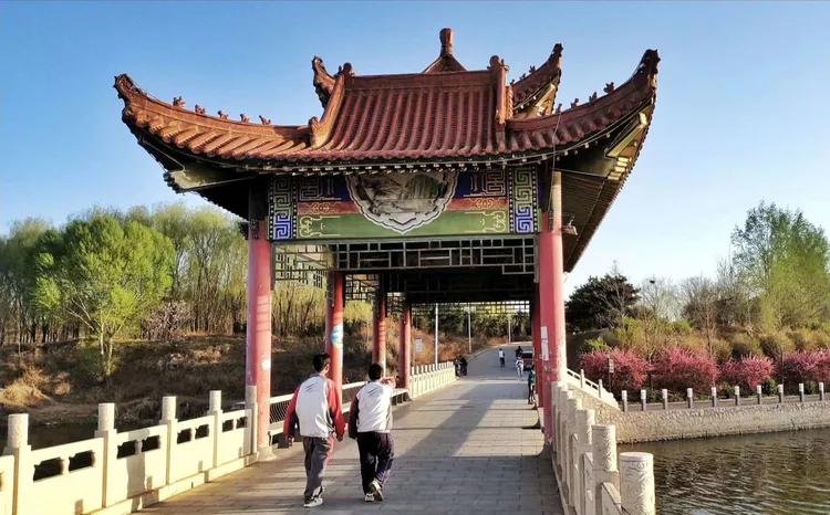 咏柳智永千字文,咏柳书法千字文