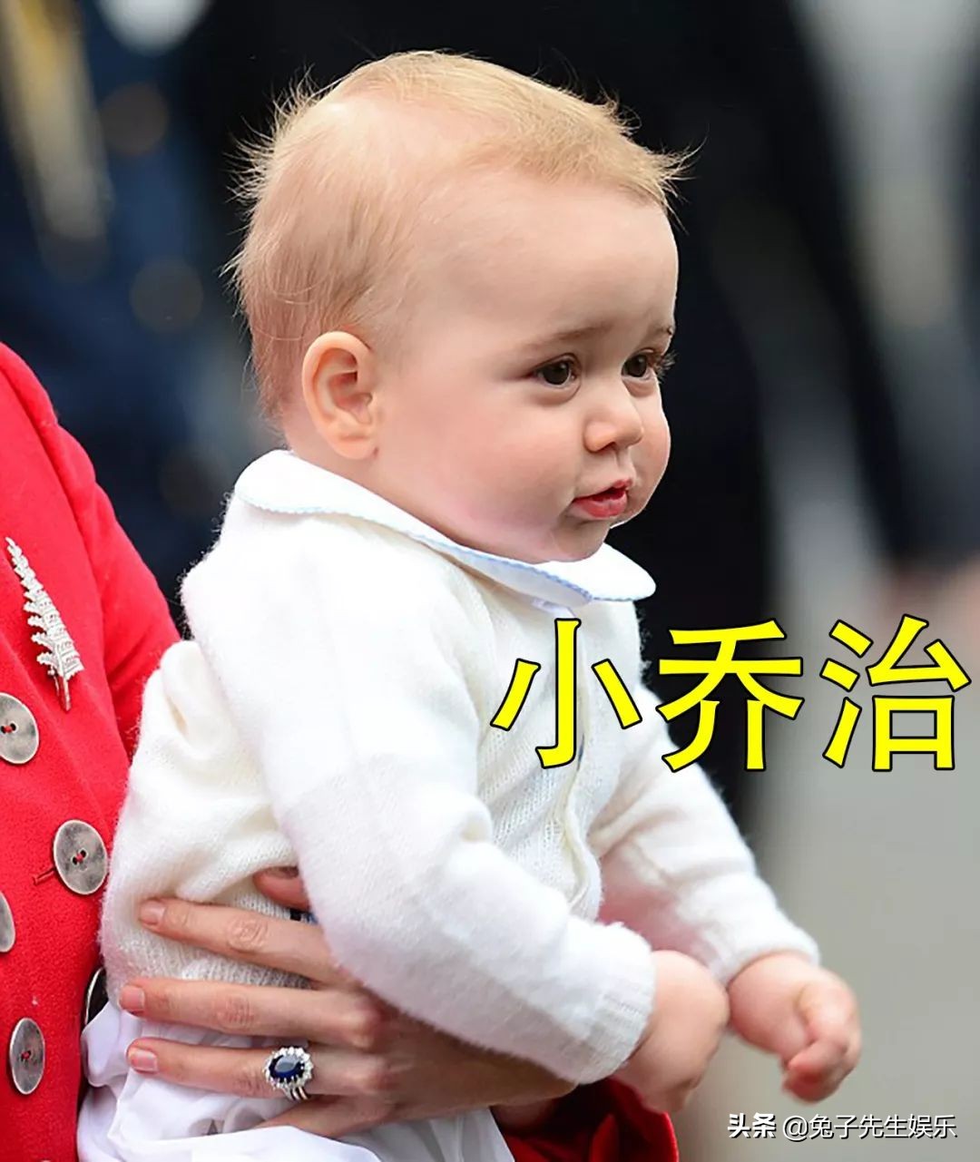 阿奇1岁照片大全,阿奇新照片