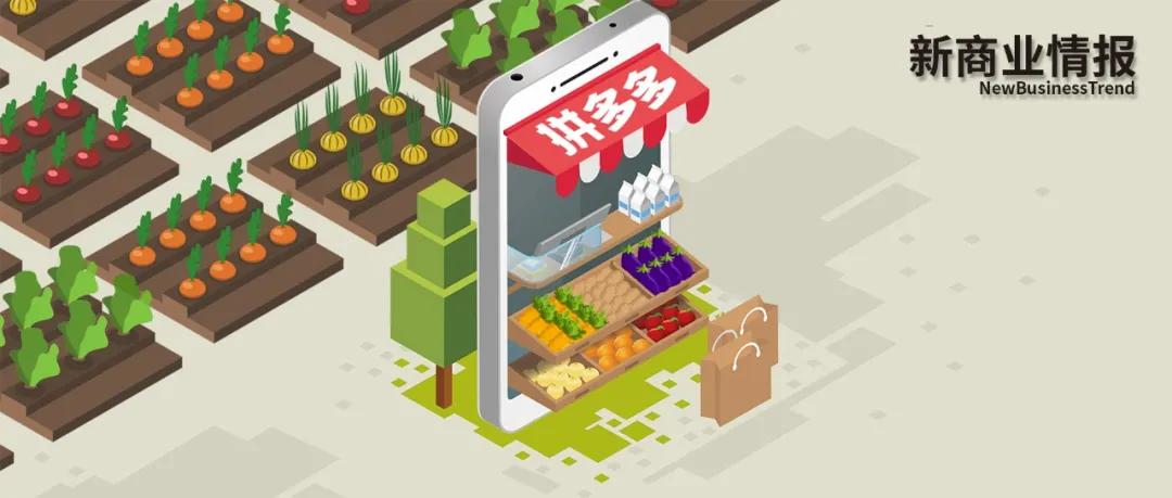 拼多多的创业日记,拼多多种植业