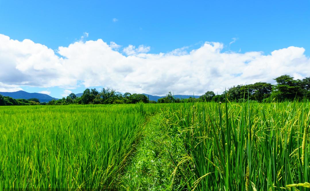 不要你觉得只要我觉得语录,腾冲避暑好去处