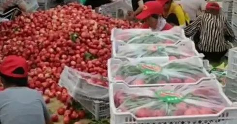 从退伍兵到群众贴心人,从退役军人到乡村致富领路人