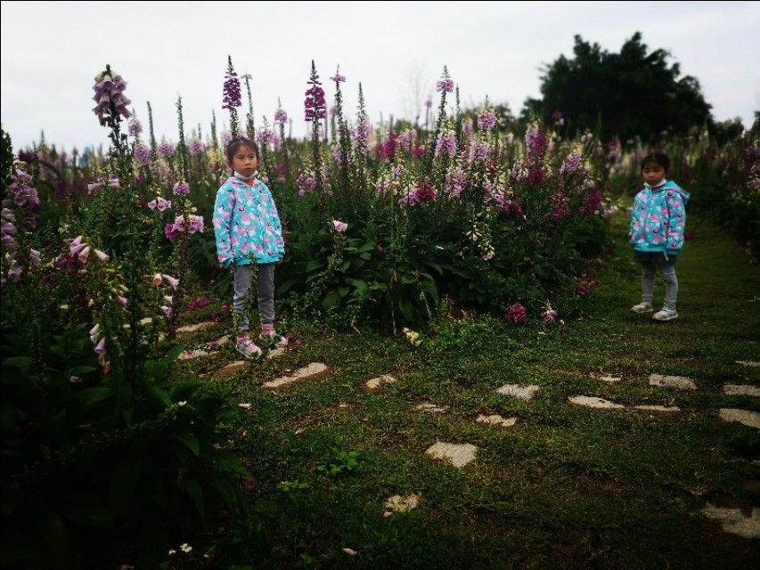 厦门园博苑带娃游玩攻略,厦门遛娃公园