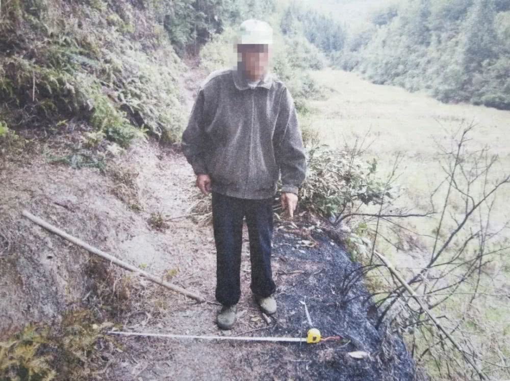 森林火灾60岁老汉判刑,引发森林火灾判什么罪