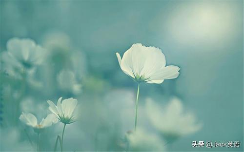 动词短语中介词不省略,动词介词用法最全总结