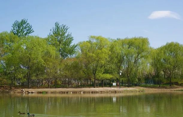 北京戒台寺郊野公园,北京燕山东岭郊野公园