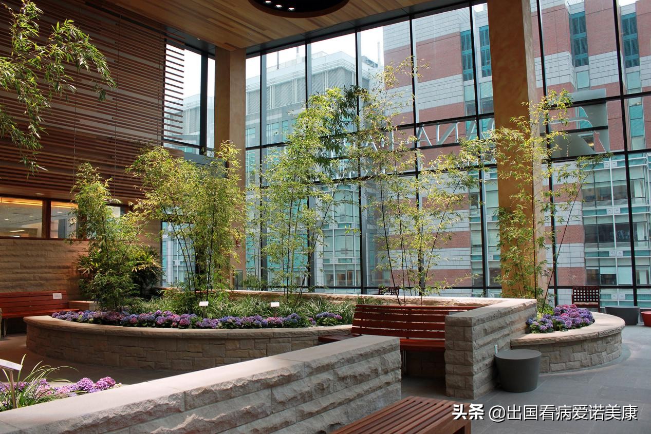 美国治疗结肠癌的方法,结肠癌美国治疗