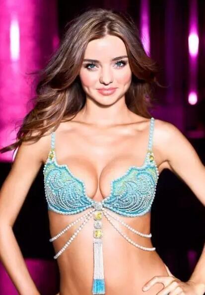 天价维密fantasybra,维密fantasybra