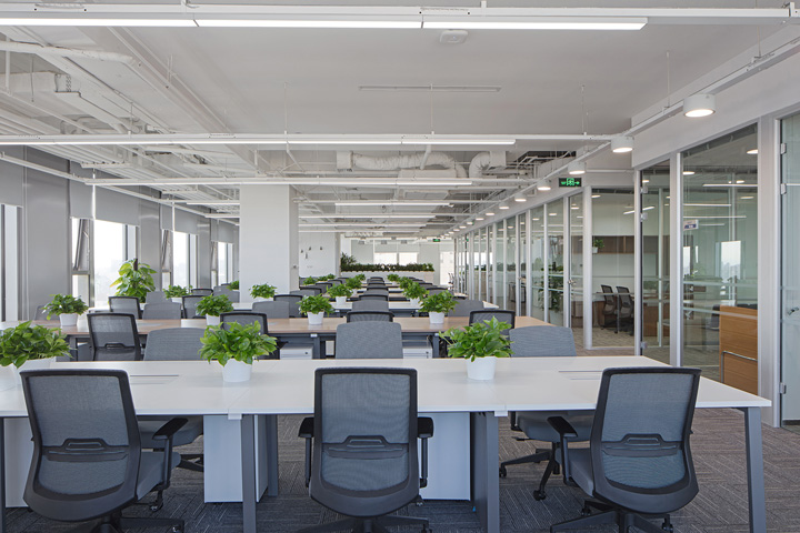 bdo立信会计师事务所,bdo立信会计事务所