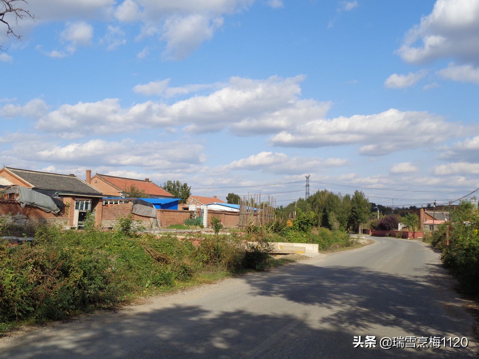 沈北新区依路村,沈北新区马刚乡地图