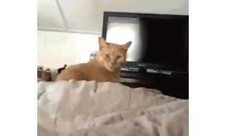 苏宁广场发生的大事,苏宁广场最新事件原视频