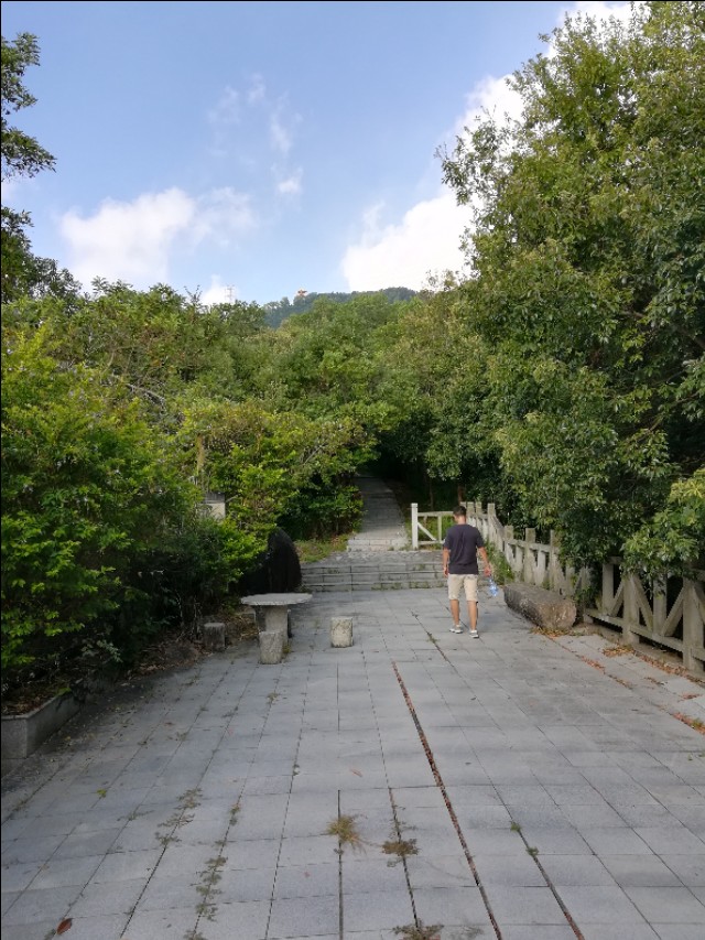 适合发朋友圈青城山后山唯美句子,梧桐山适合发朋友圈的句子