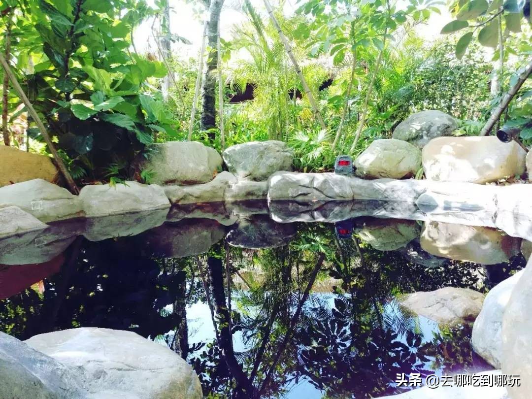 699套餐住宿,惠州699特价酒店