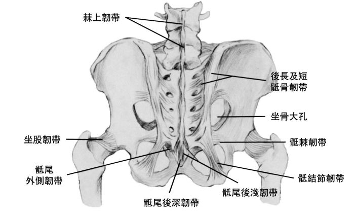 骶髂关节紊乱后复位后依然腰痛,运动康复腰椎酸痛