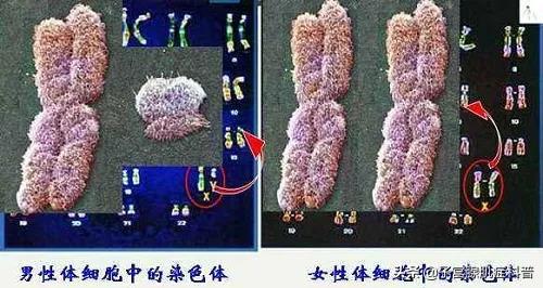 子宫切除后身体会留下什么后果,子宫切除后身体会有什么