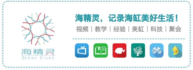 为什么国人对鱼情有独钟,为什么有的人对鱼那么痴迷