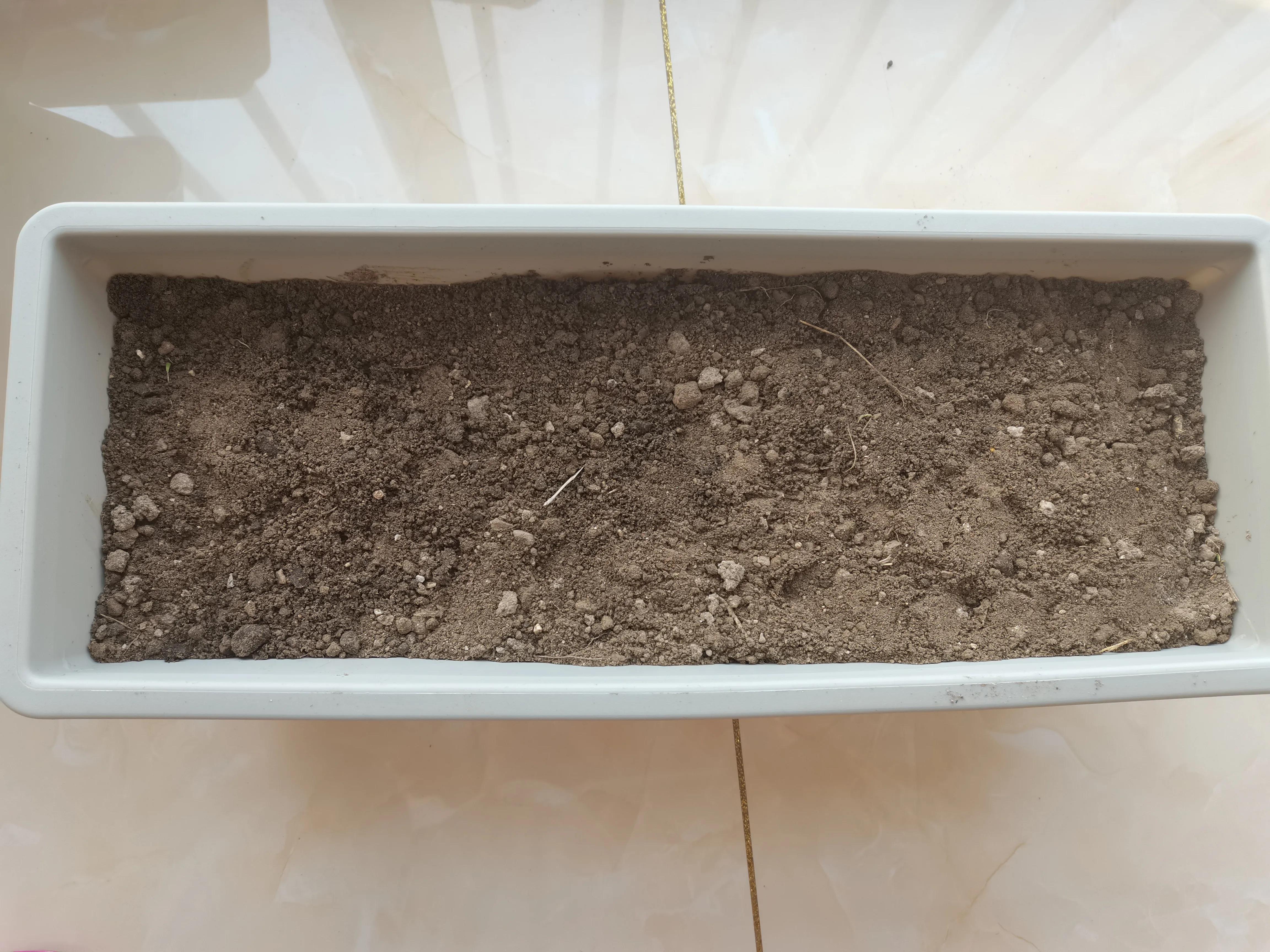 不要放弃农村的宅基地,不要放弃自己的农村宅基地