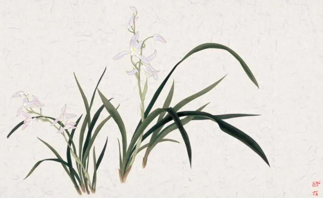 州医,医院的星空